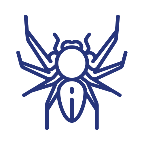 Elite Pest & Termite Control: Ants, Cockroaches, Spiders, Fleas