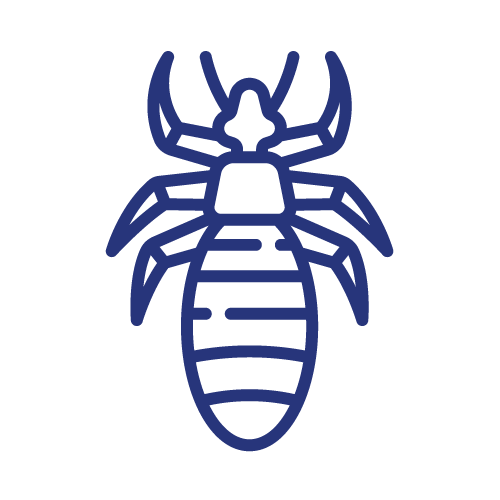 Elite Pest & Termite Bed Bug Treatment